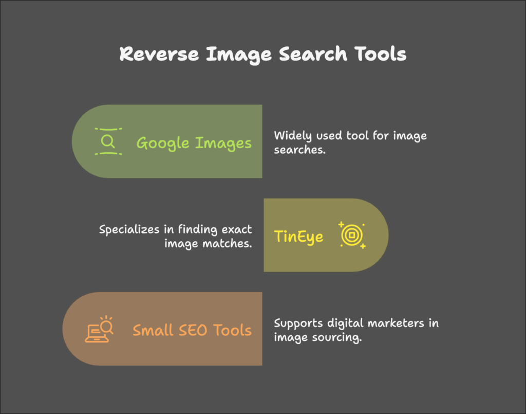 Best Reverse Image Search Tools
